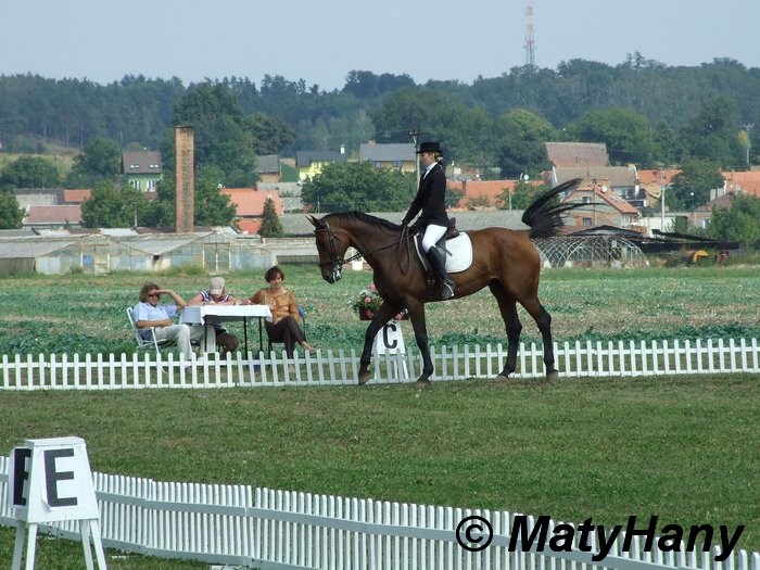 (128)  Prostějov 2008 - J.Neplechová -Ballantines