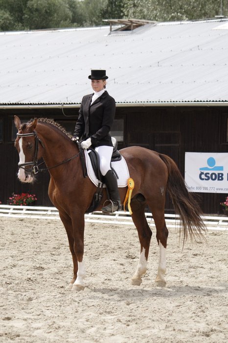 OM Těšánky 2008